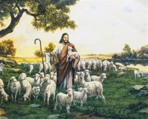 GOOD SHEPHERD