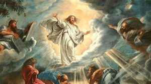 TRANSFIGURATION