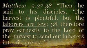 Today’s Gospel